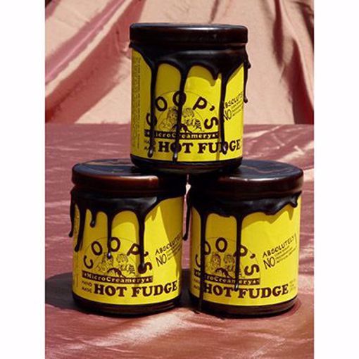 Picture of Coop's Hot Fudge 12/10 oz