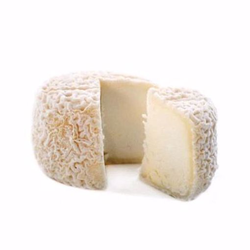 Picture of Crottin Champcol 12/60gm PRE-ORDER