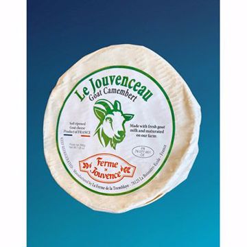 Picture of Camembert Goat Jouvenceau Fermier 8/200 gm PRE-ORDER