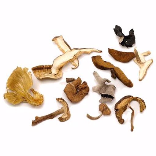 Picture of Dried Mushrooms Mix 1/1 lb