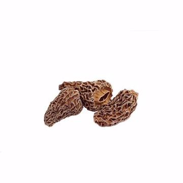 Picture of Dried Mushrooms Morels 1/1 lb