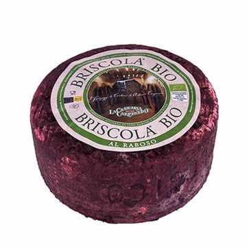Picture of Briscola Bio 1/5.5lb