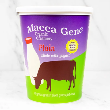 Picture of Macca Gene Yogurt, Plain Whole Milk Quart 6/32 oz